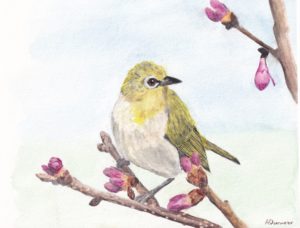 Malerei grünfink gelber Vogel Vögel Tiere Kunst Aquarell Kunst Rems Murr Kreis Sulzbach an der Murr Alice Obermeier