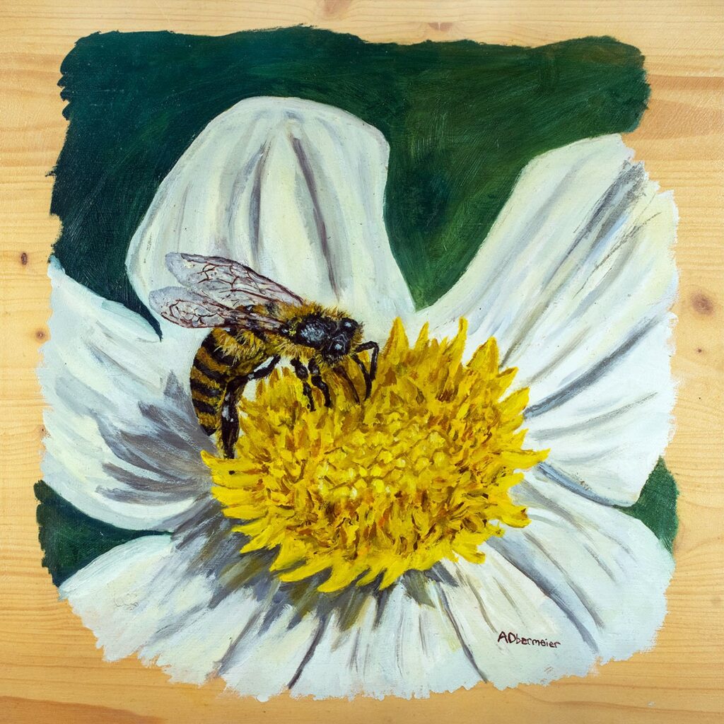 Malerei Biene auf Blume Tiere Kunstdruck Kunst Original Ölgemälde auf Holz Alice Obermeier Sulzbach an der Murr Rems Murr Kreis